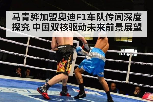 马青骅加盟奥迪F1车队传闻深度探究 中国双核驱动未来前景展望