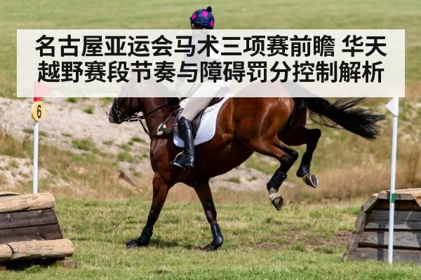 名古屋亚运会马术三项赛前瞻 华天越野赛段节奏与障碍罚分控制解析