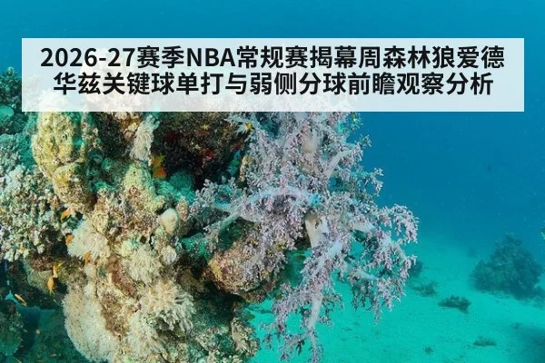 2026-27赛季NBA常规赛揭幕周森林狼爱德华兹关键球单打与弱侧分球前瞻观察分析
